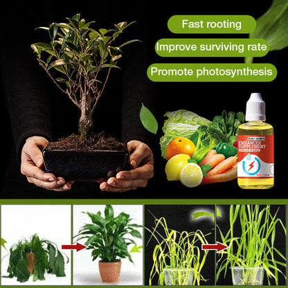 🔥Ótimo para vender! Compre 1 e leve 2 grátis🔥Suplemento para melhorar o crescimento das plantas🍃