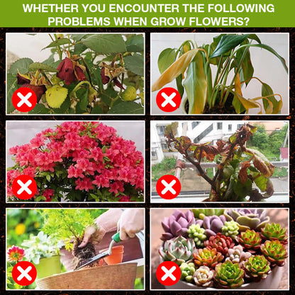 🔥Ótimo para vender! Compre 1 e leve 2 grátis🔥Suplemento para melhorar o crescimento das plantas🍃